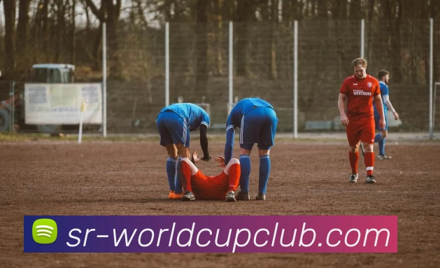 App Interface Preview